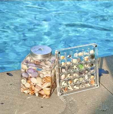 High Transparent DIY Magnetic Seashell Collection Clear Acrylic Display Case Untuk Perjalanan