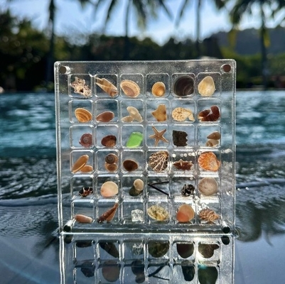 Desain Baru Sampel Kerang Magnetik Akrilik Kotak Tampilan Untuk Perhiasan Kotak Penyimpanan